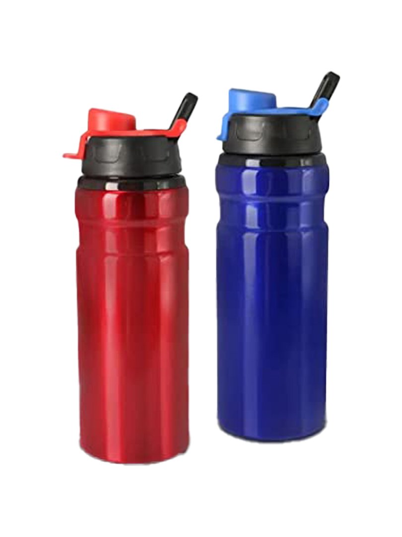 Flip top Metal water bottle (600 ml approx)