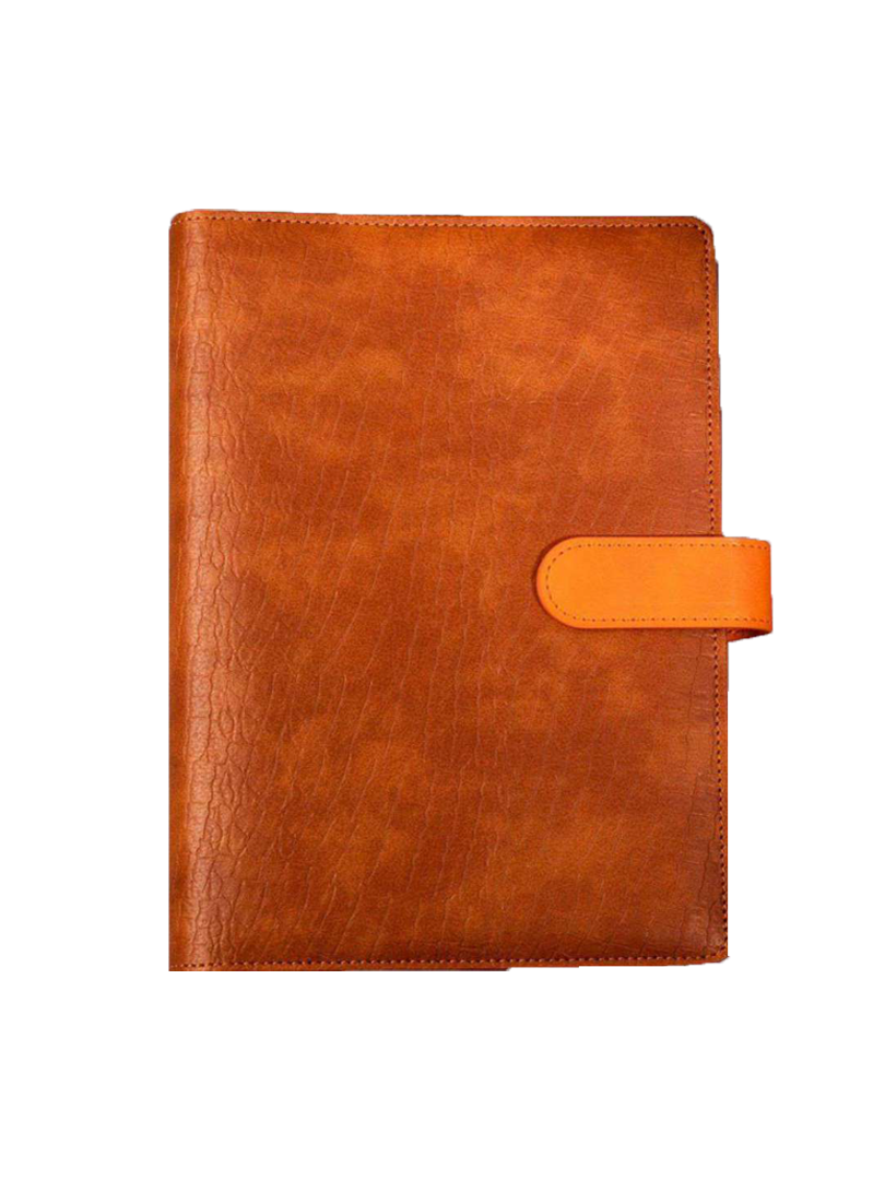 DIARY  SR189 ORGANIER  NOTEBOOK 